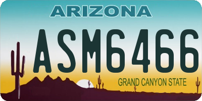 AZ license plate ASM6466
