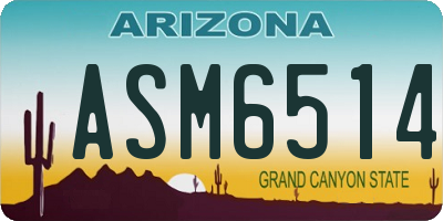 AZ license plate ASM6514
