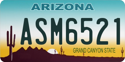 AZ license plate ASM6521