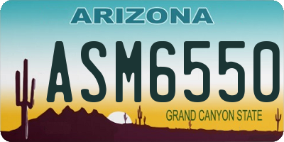 AZ license plate ASM6550