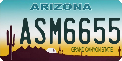 AZ license plate ASM6655