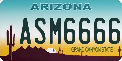 AZ license plate ASM6666