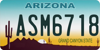 AZ license plate ASM6718