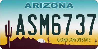 AZ license plate ASM6737