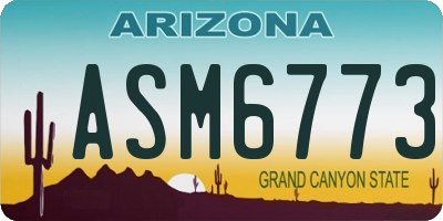 AZ license plate ASM6773