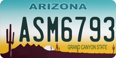 AZ license plate ASM6793