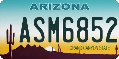 AZ license plate ASM6852