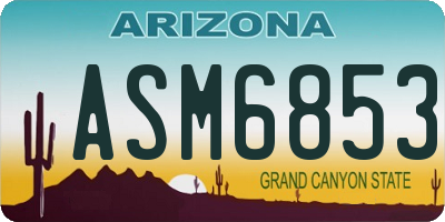AZ license plate ASM6853