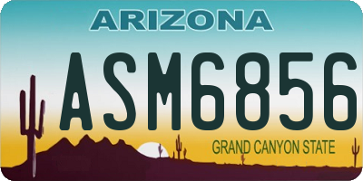 AZ license plate ASM6856