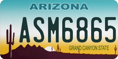 AZ license plate ASM6865