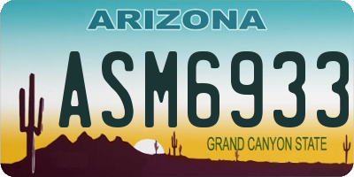 AZ license plate ASM6933