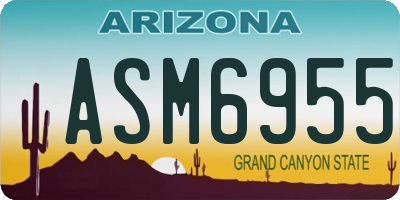 AZ license plate ASM6955