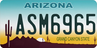 AZ license plate ASM6965