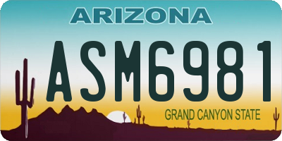 AZ license plate ASM6981