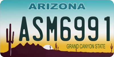 AZ license plate ASM6991