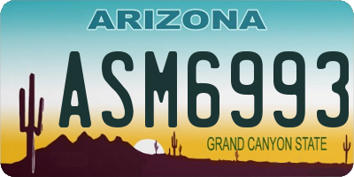 AZ license plate ASM6993