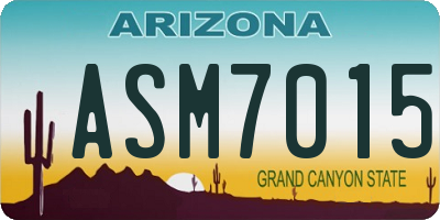 AZ license plate ASM7015