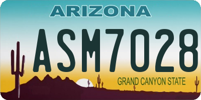 AZ license plate ASM7028