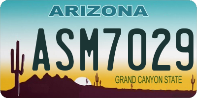 AZ license plate ASM7029