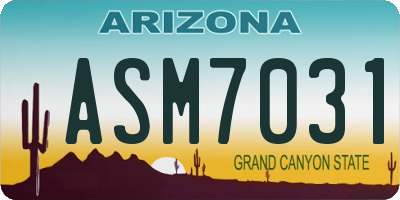 AZ license plate ASM7031