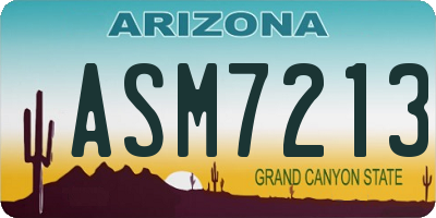 AZ license plate ASM7213