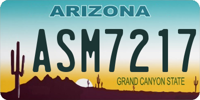 AZ license plate ASM7217