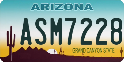 AZ license plate ASM7228