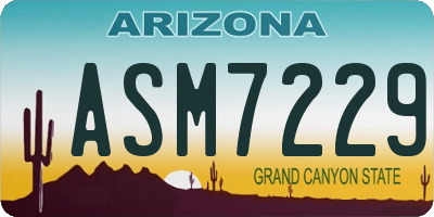 AZ license plate ASM7229