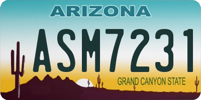 AZ license plate ASM7231