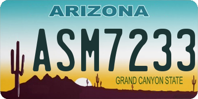 AZ license plate ASM7233