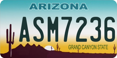 AZ license plate ASM7236