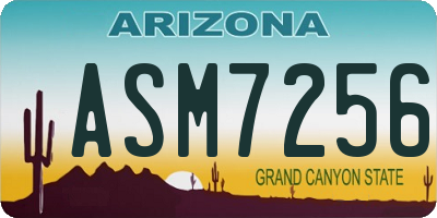 AZ license plate ASM7256