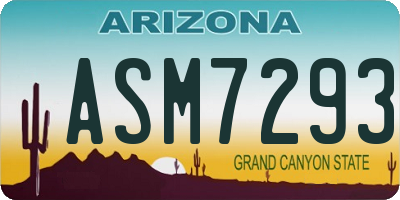 AZ license plate ASM7293