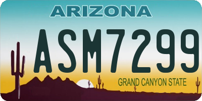 AZ license plate ASM7299