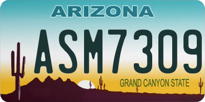 AZ license plate ASM7309