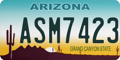 AZ license plate ASM7423