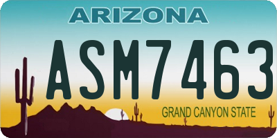 AZ license plate ASM7463