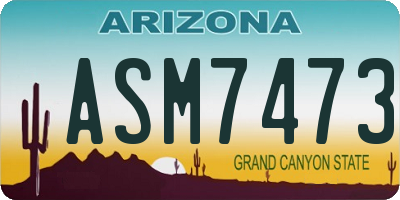 AZ license plate ASM7473