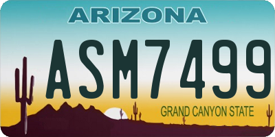 AZ license plate ASM7499