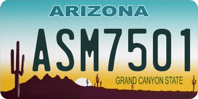 AZ license plate ASM7501