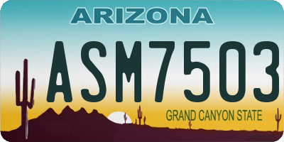 AZ license plate ASM7503