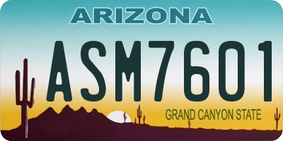 AZ license plate ASM7601