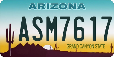 AZ license plate ASM7617