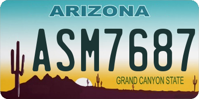 AZ license plate ASM7687