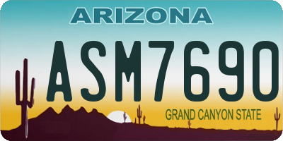 AZ license plate ASM7690