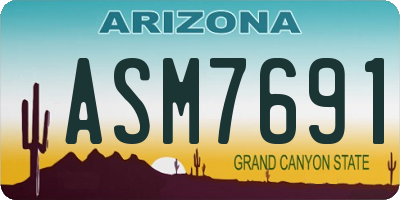 AZ license plate ASM7691