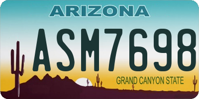 AZ license plate ASM7698