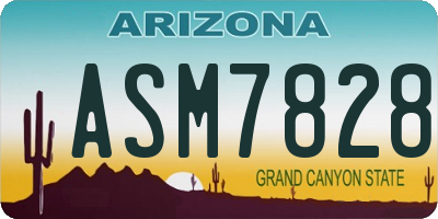 AZ license plate ASM7828