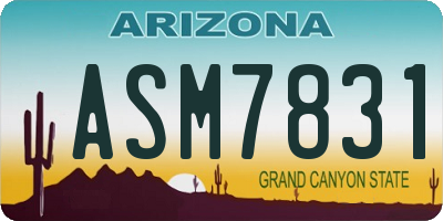 AZ license plate ASM7831