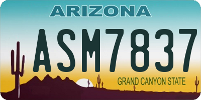 AZ license plate ASM7837